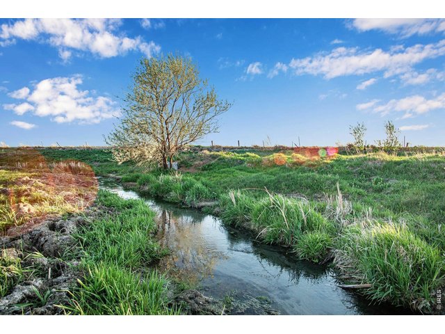 Property Photo 7 Year round stream just west of the property. Portions of the stream can be seen from the subject property up on the hill. 