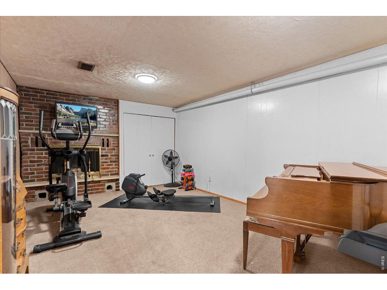 Basement gym/family room with wood fireplace and storage closet.