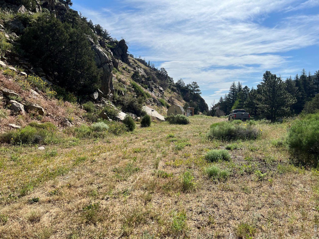 Plenty of room to build your dream cabin.