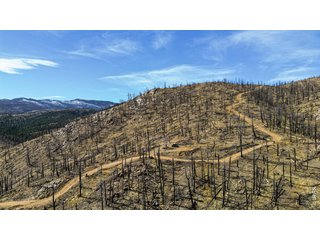 3600 Moondance Way Bellvue, CO 80512