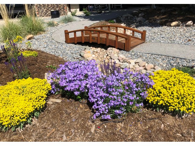 Property Photo 3 Xeriscaped Front Yard