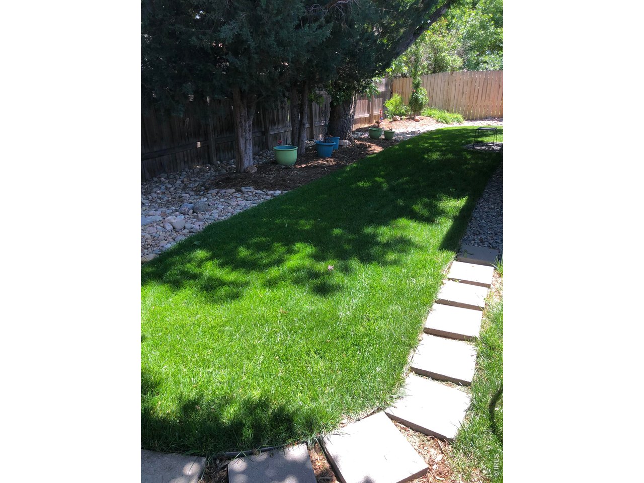 Backyard Lawn