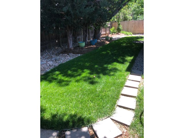 Property Photo 36 Backyard Lawn