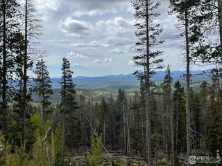 1374 Jicarilla Trl Red Feather Lakes, CO 80545