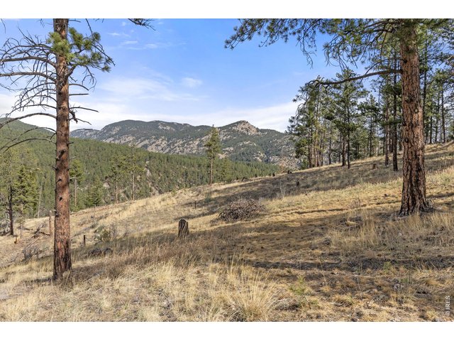 Property Photo 31 Forested mountain views in every direction!