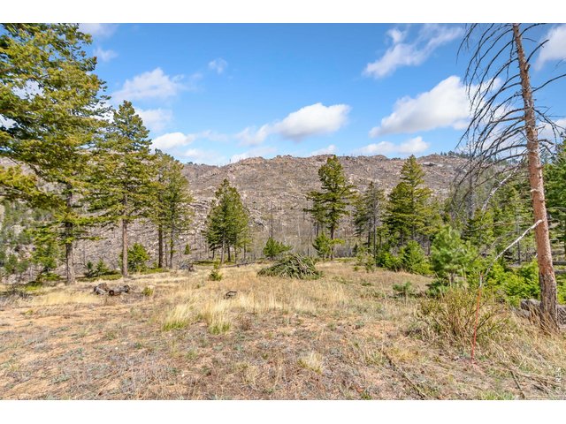 Property Photo 38 