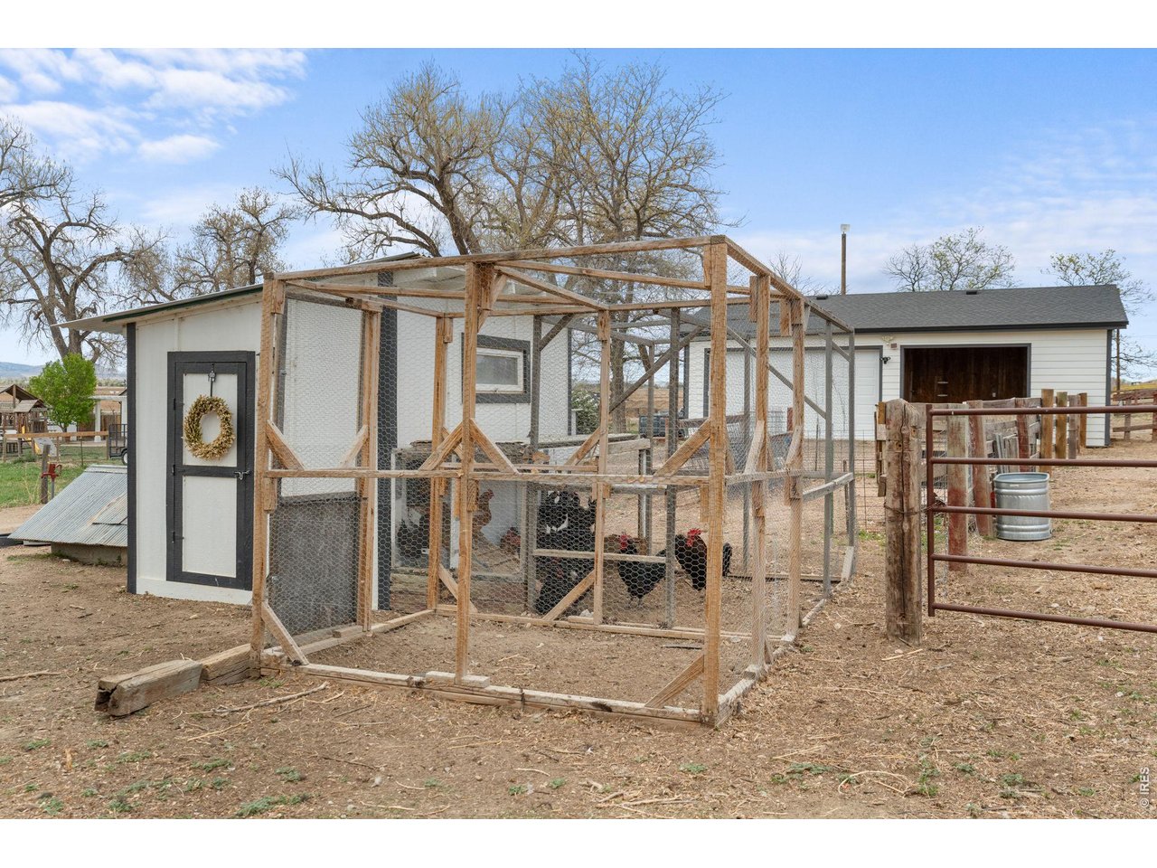 Chicken coop