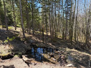 0 Bear Gulch Rd Red Feather Lakes, CO 80545