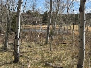 400 Fox Acres Dr W Red Feather Lakes, CO 80545
