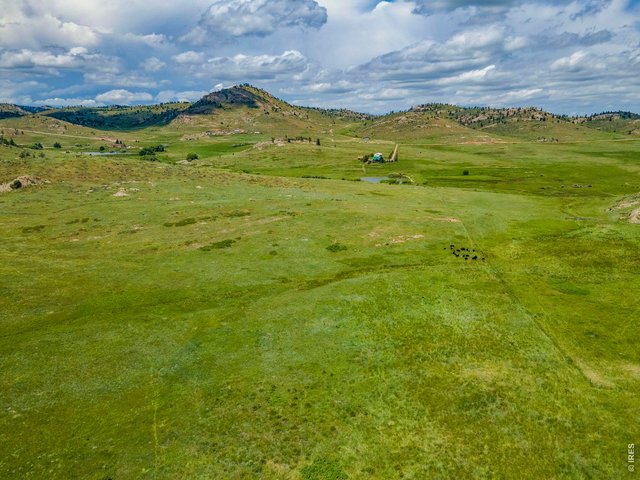 Property Photo 45 A rare blend of privacy and usable acreage