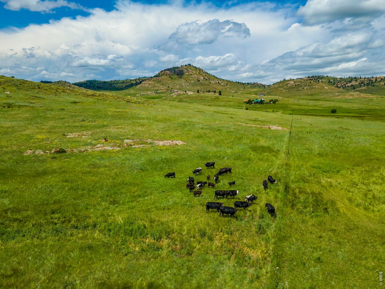Gently rolling terrain ideal for livestock or recreation.