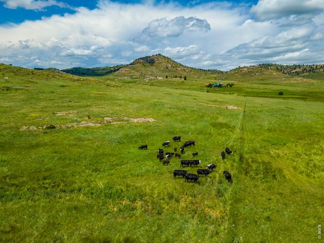 Property Photo 47 Gently rolling terrain ideal for livestock or recreation.