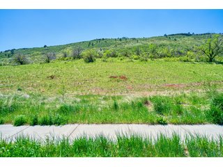 352 McConnell Dr Lyons, CO 80540