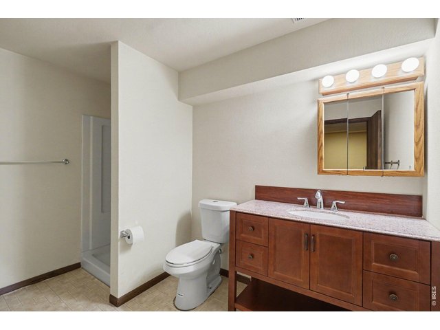 Property Photo 27 Basement Bathroom