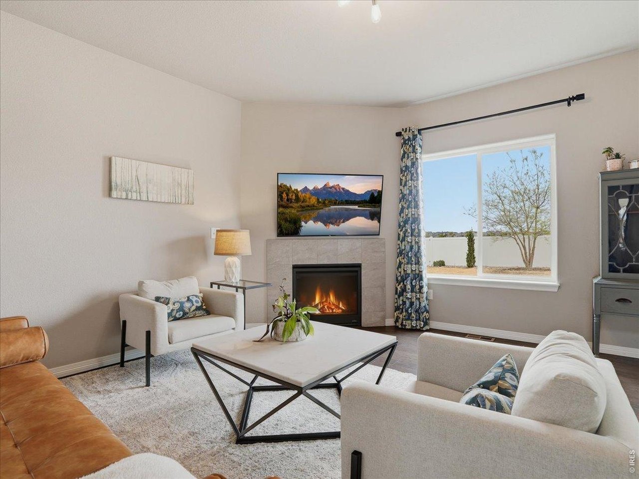 Natural Light In Living Space