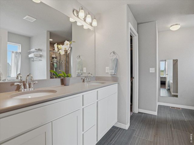 Property Photo 22 Double Sinks in Primary En Suite