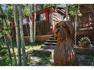 1410 Caribou Rd Nederland, CO 80466