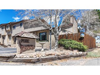 506 Grand Estates Dr E Estes Park, CO 80517