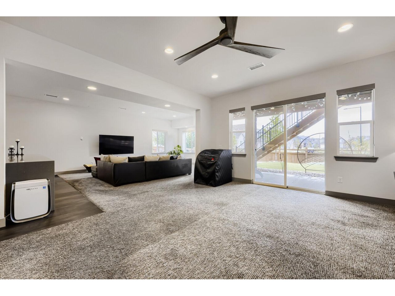 BASEMENT LIVING ROOM AND BONUS AREA