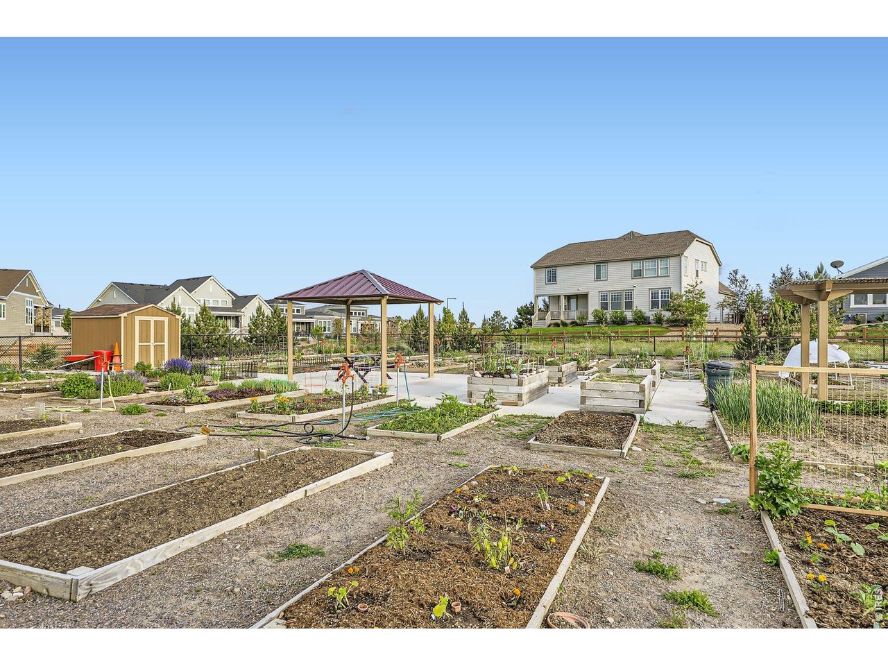 NEIGHBORHOOD AMENITIES