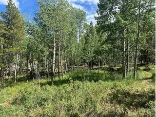 293 Aspen Cir Black Hawk, CO 80422