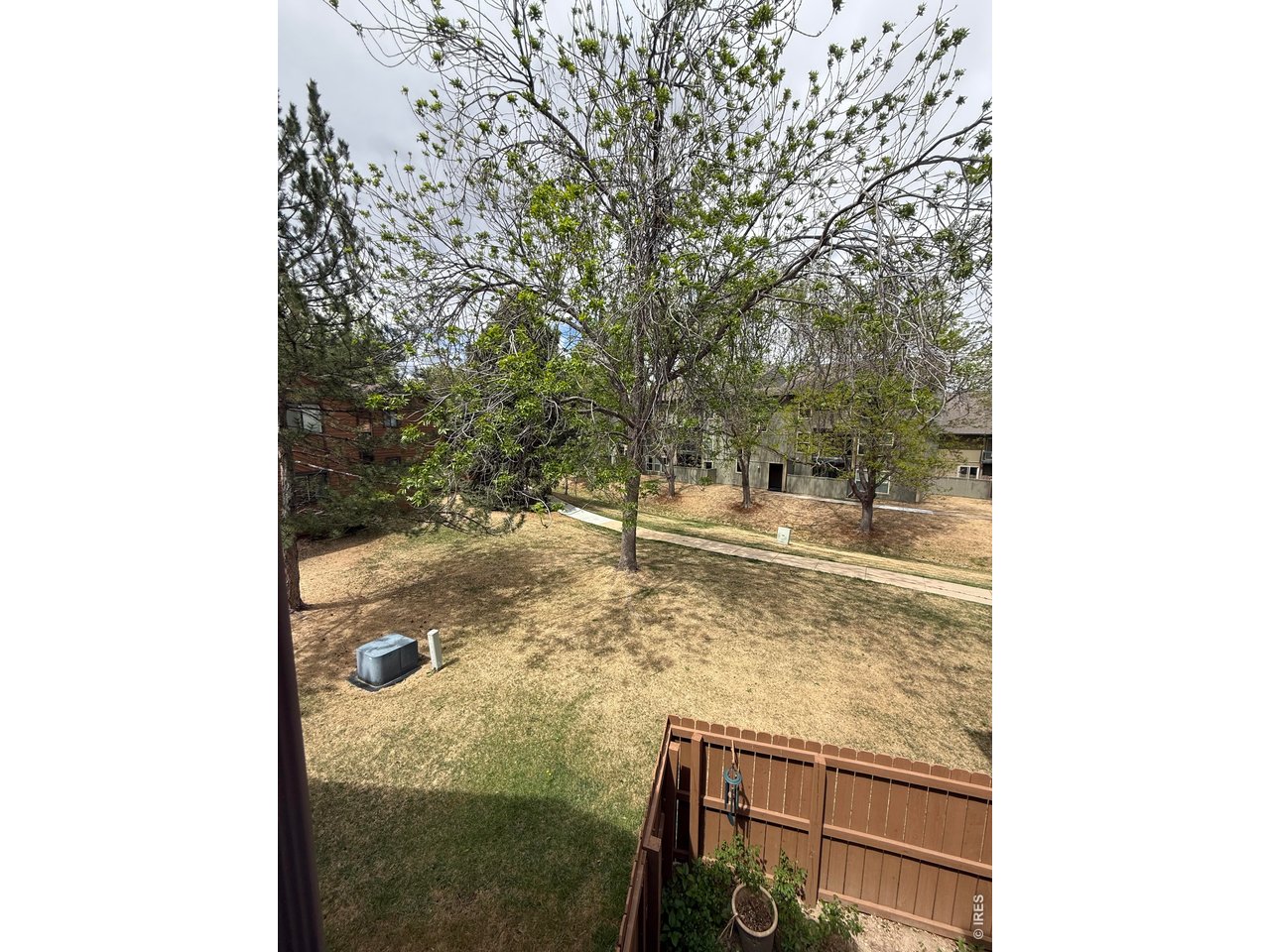 View off deck