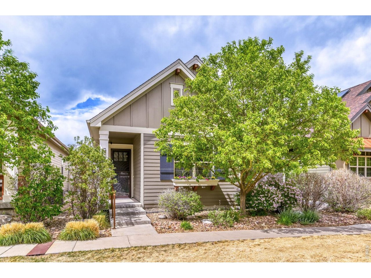 HOA Maintained Landscape