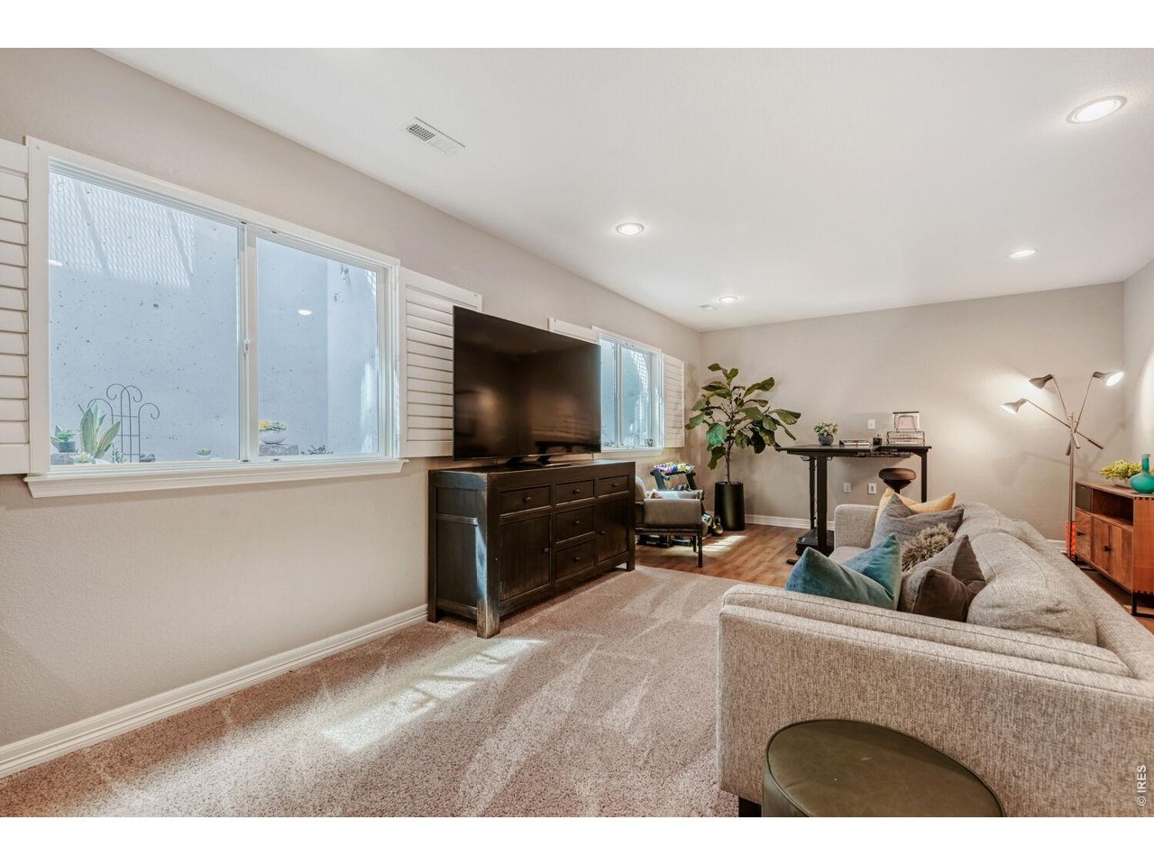 Lower Level Rec Room