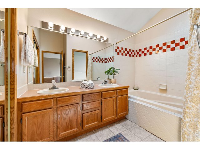 Property Photo 31 The en suite primary bathroom includes a soaking tub/shower, wide double vanity, private water closet, skylight and massive walk-in closet. 