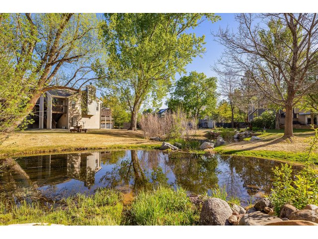 Property Photo 43 Enjoy nature filled walks from your front door in Meadow Glen!