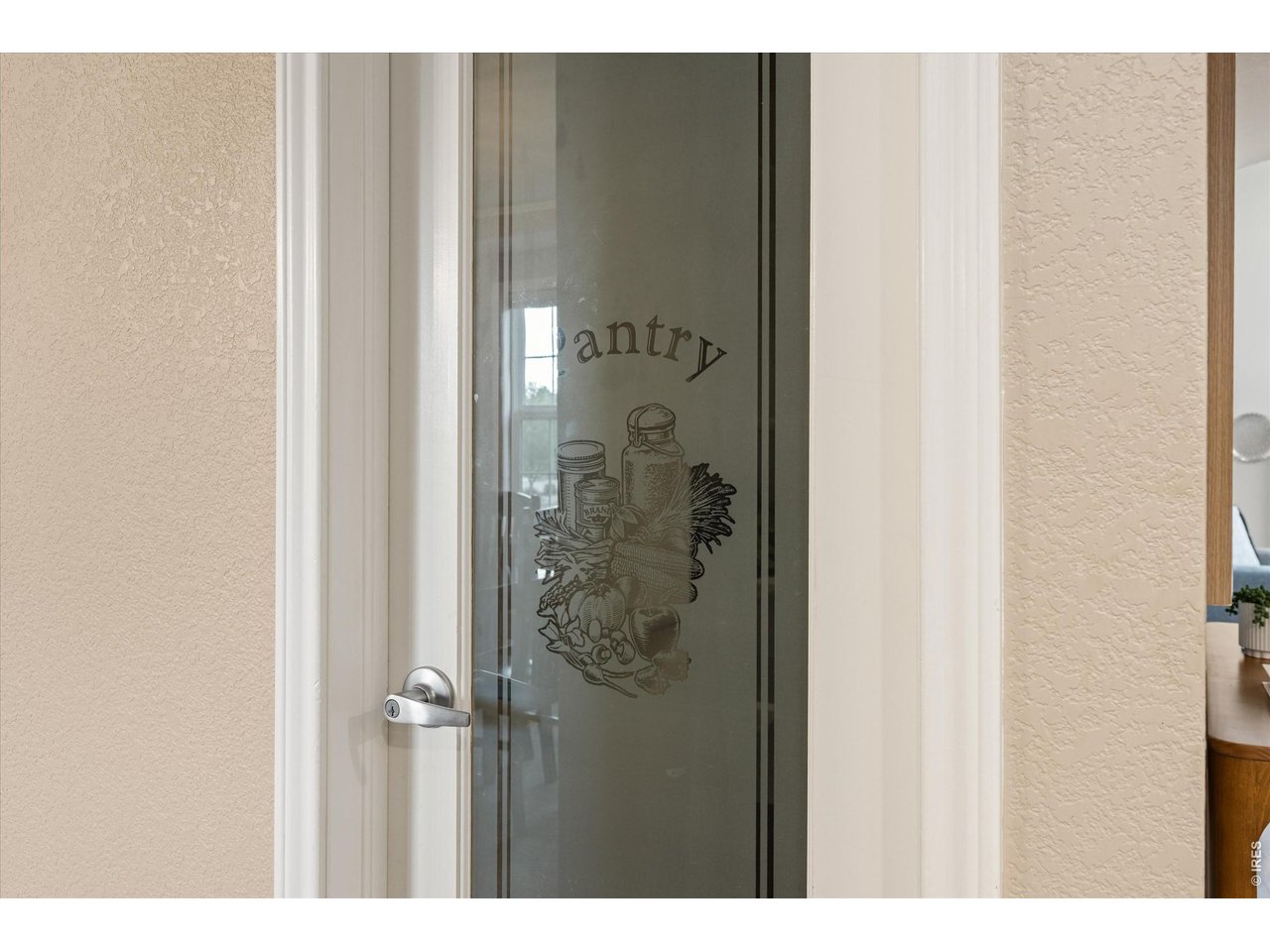 Elegant Pantry Door leading to a walk-in pantry 