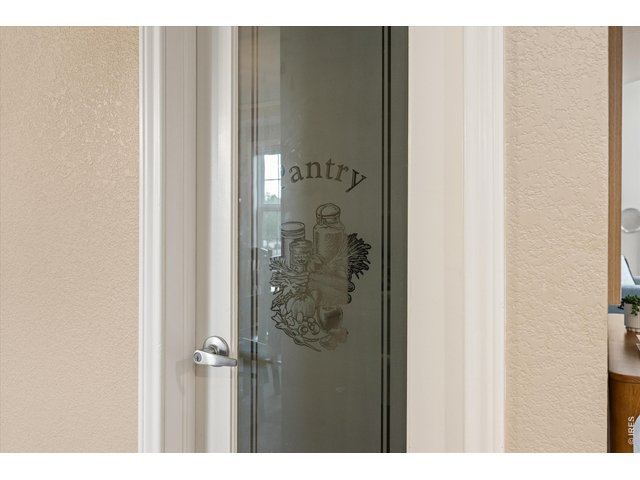 Property Photo 16 Elegant Pantry Door leading to a walk-in pantry 