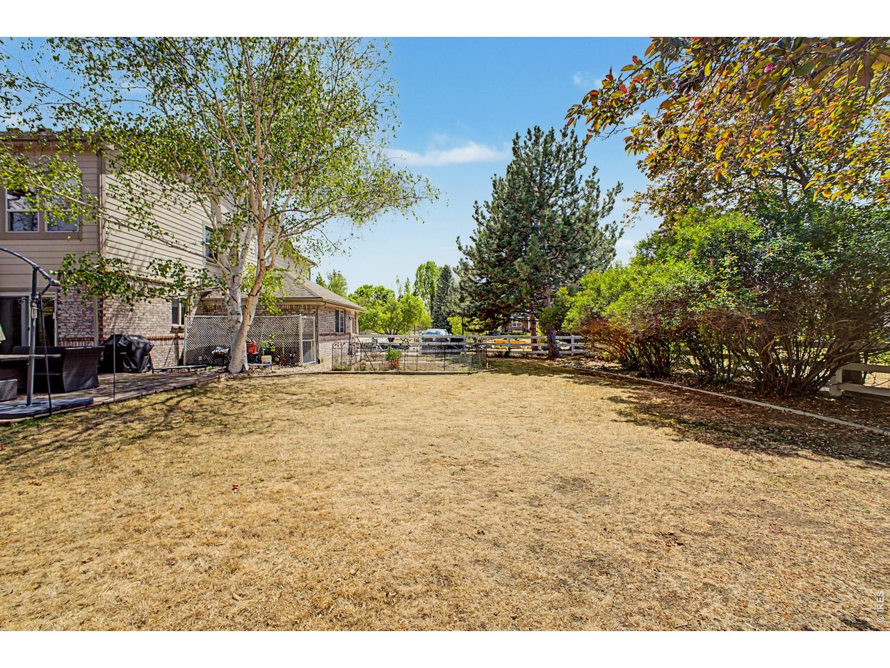 Large Back Yard a dream for the dogs 