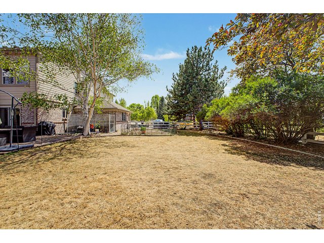 Property Photo 37 Large Back Yard a dream for the dogs 