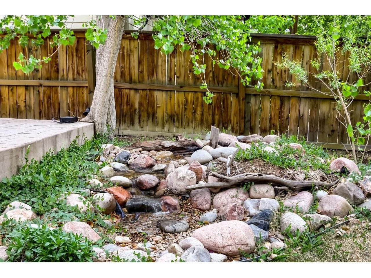 Backyard water feature