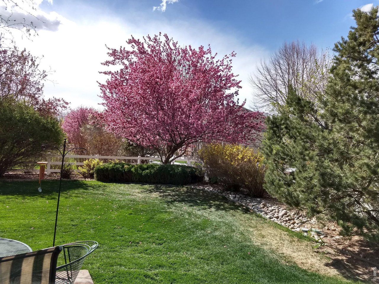 Beautiful yard with mature trees