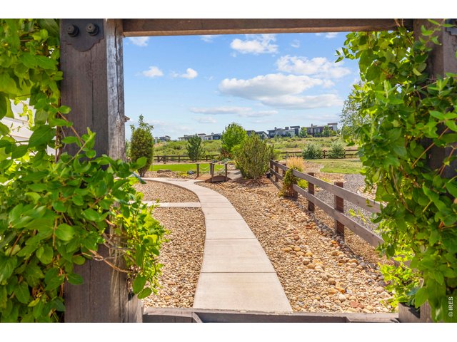 Property Photo 33 A peek view through the side of the house gate Pergola