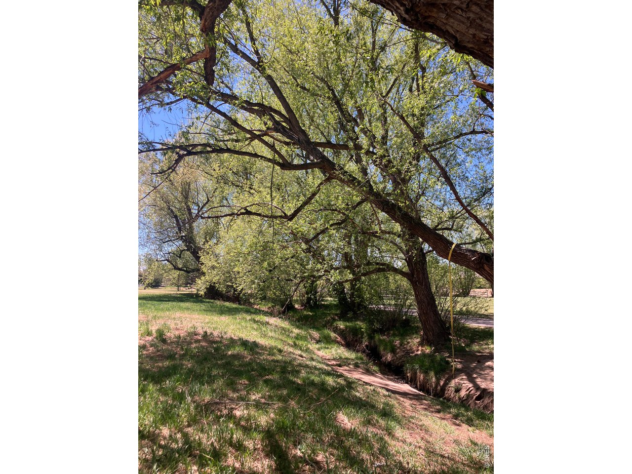 Willow Creek with Old Cott