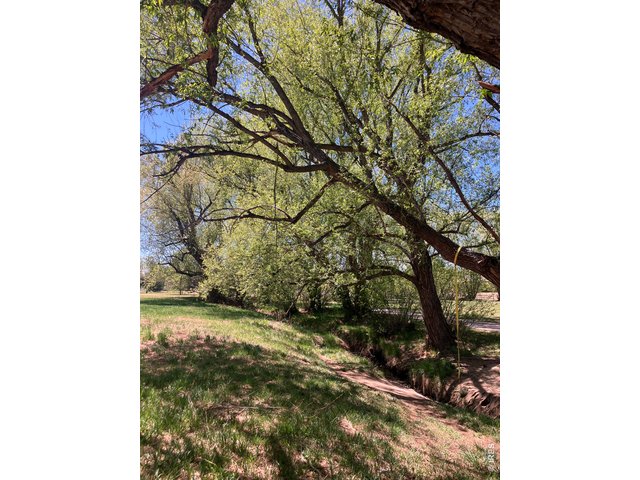 Property Photo 49 Willow Creek with Old Cott