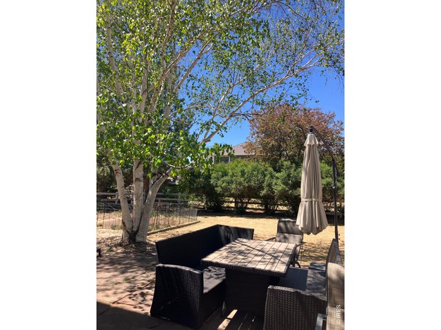 Property Photo 41 