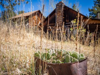329 Snow Top Dr Drake, CO 80515