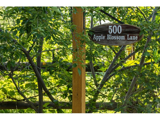 Property Photo 19 Welcome home! Over 100 trees on property!
