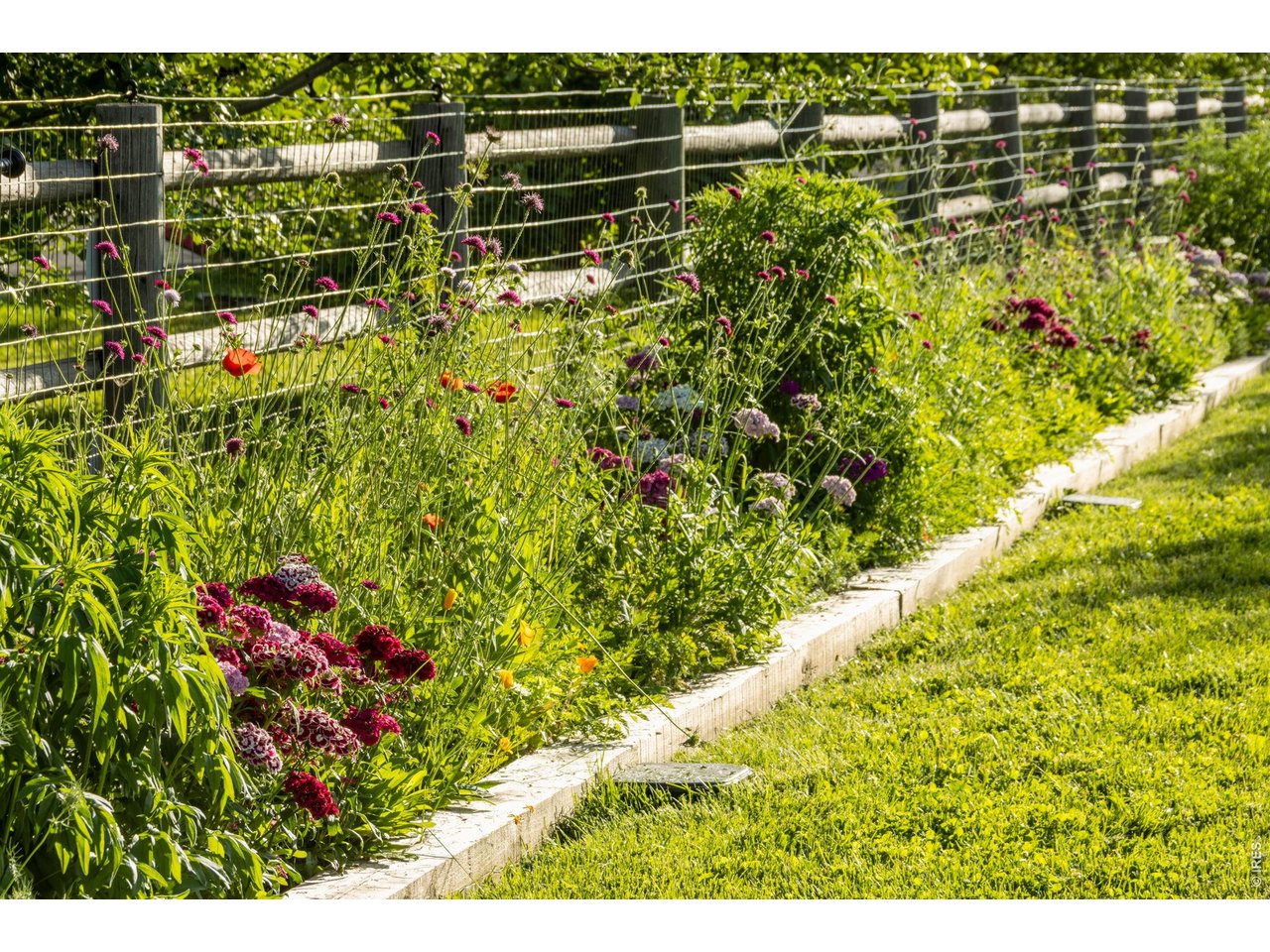 100' cutting flower bed perfect for making bouquets!