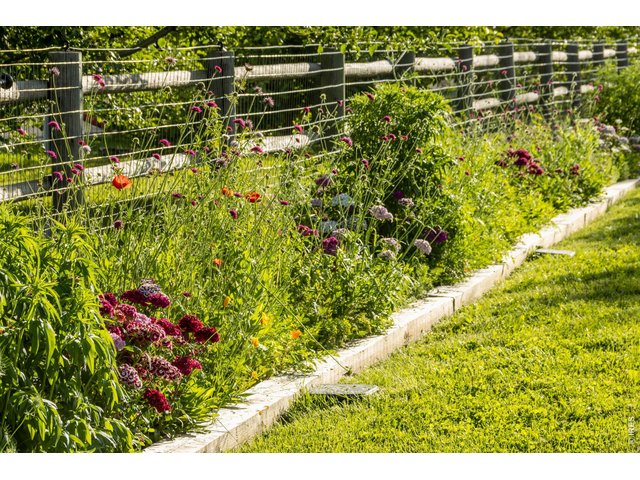 Property Photo 49 100' cutting flower bed perfect for making bouquets!