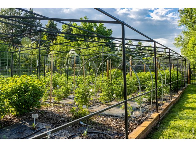 Property Photo 10 Vegetable garden