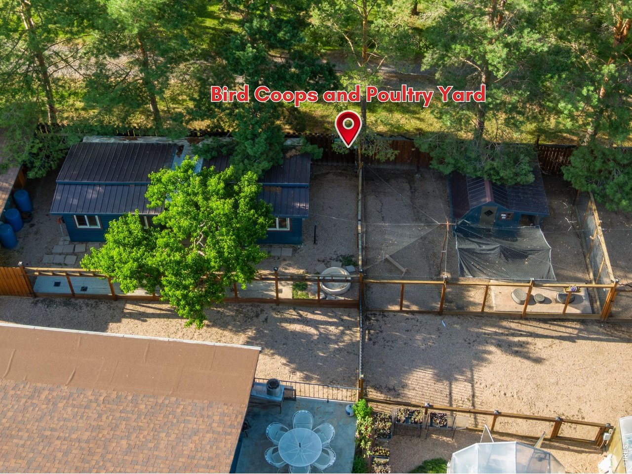 Netted bird enclosures + 9 coops