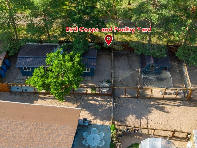Property Photo 15 Netted bird enclosures + 9 coops