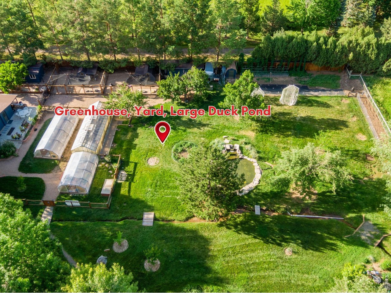 Back of property - duck pond, stream, green houses, chicken coops, turkey and duck enclosures, root cellar and more!