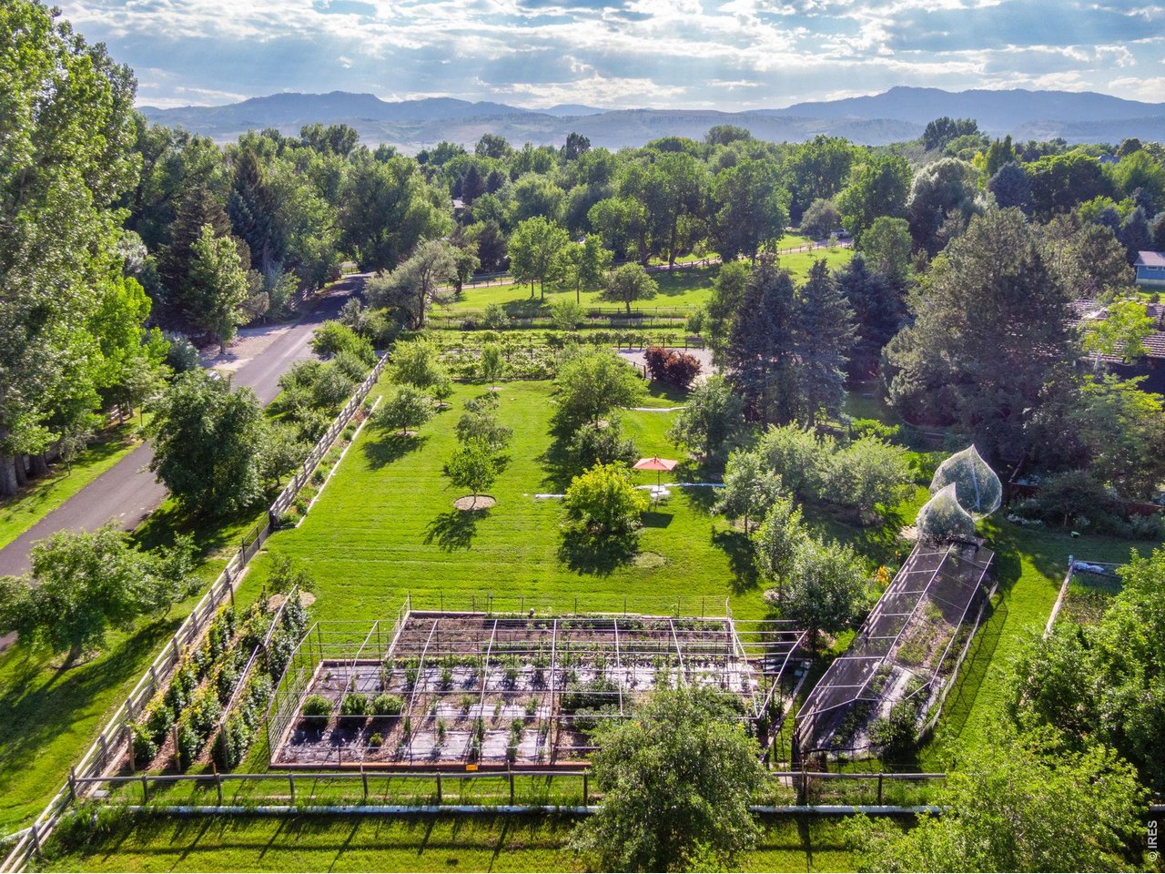 Orchard, Berry Patch, and Vegetable Gardens looking west towards foothills