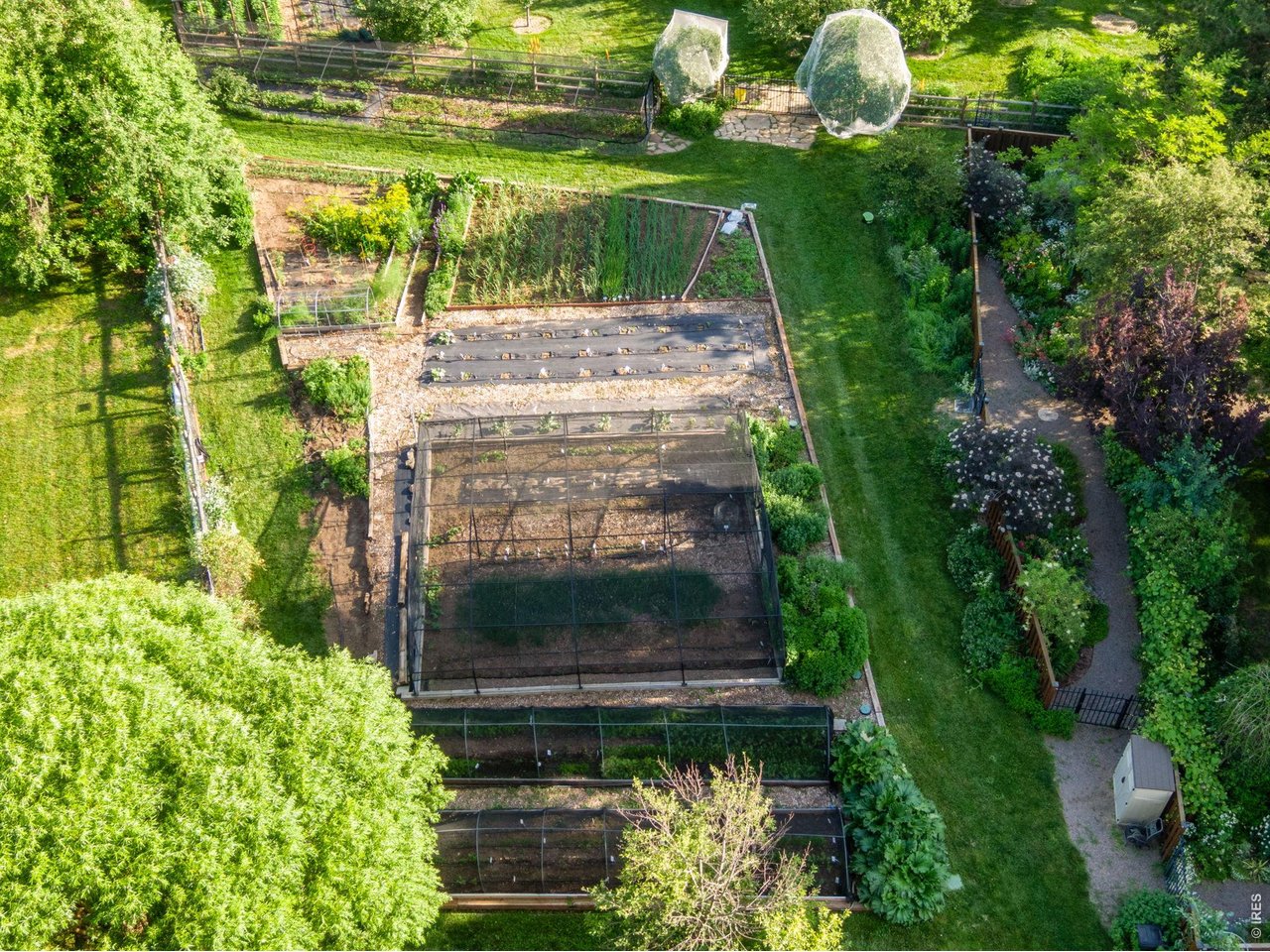 Vegetable Garden, Herb Garden, and Strawberry Patch and covered Cherry Trees